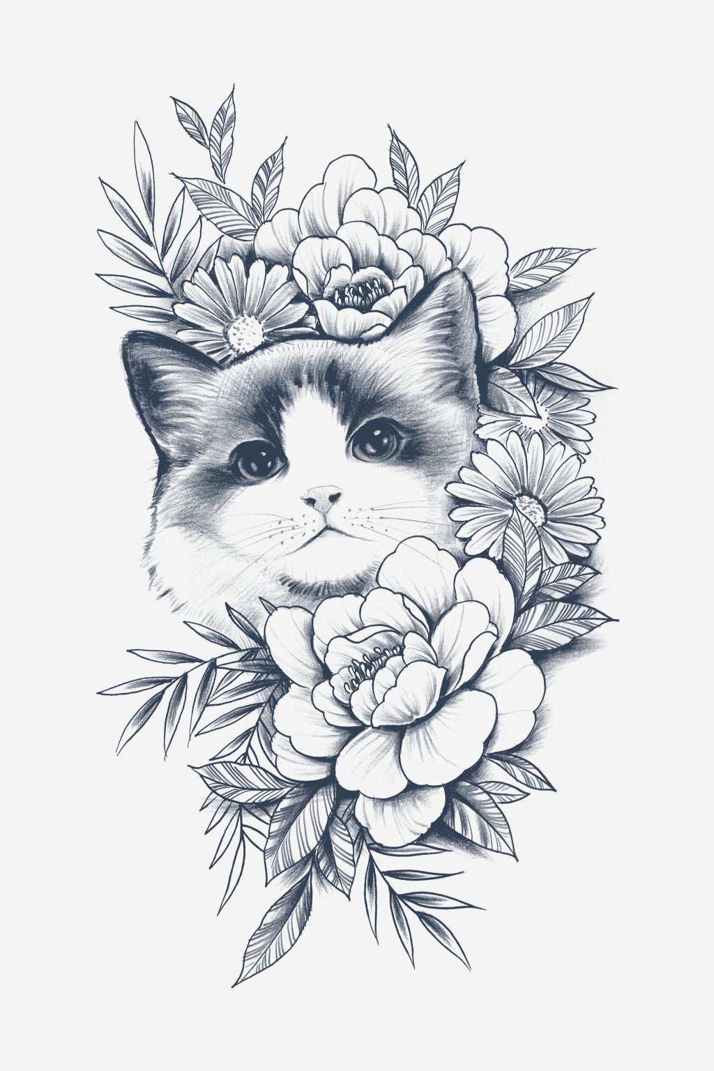 Purrfektion