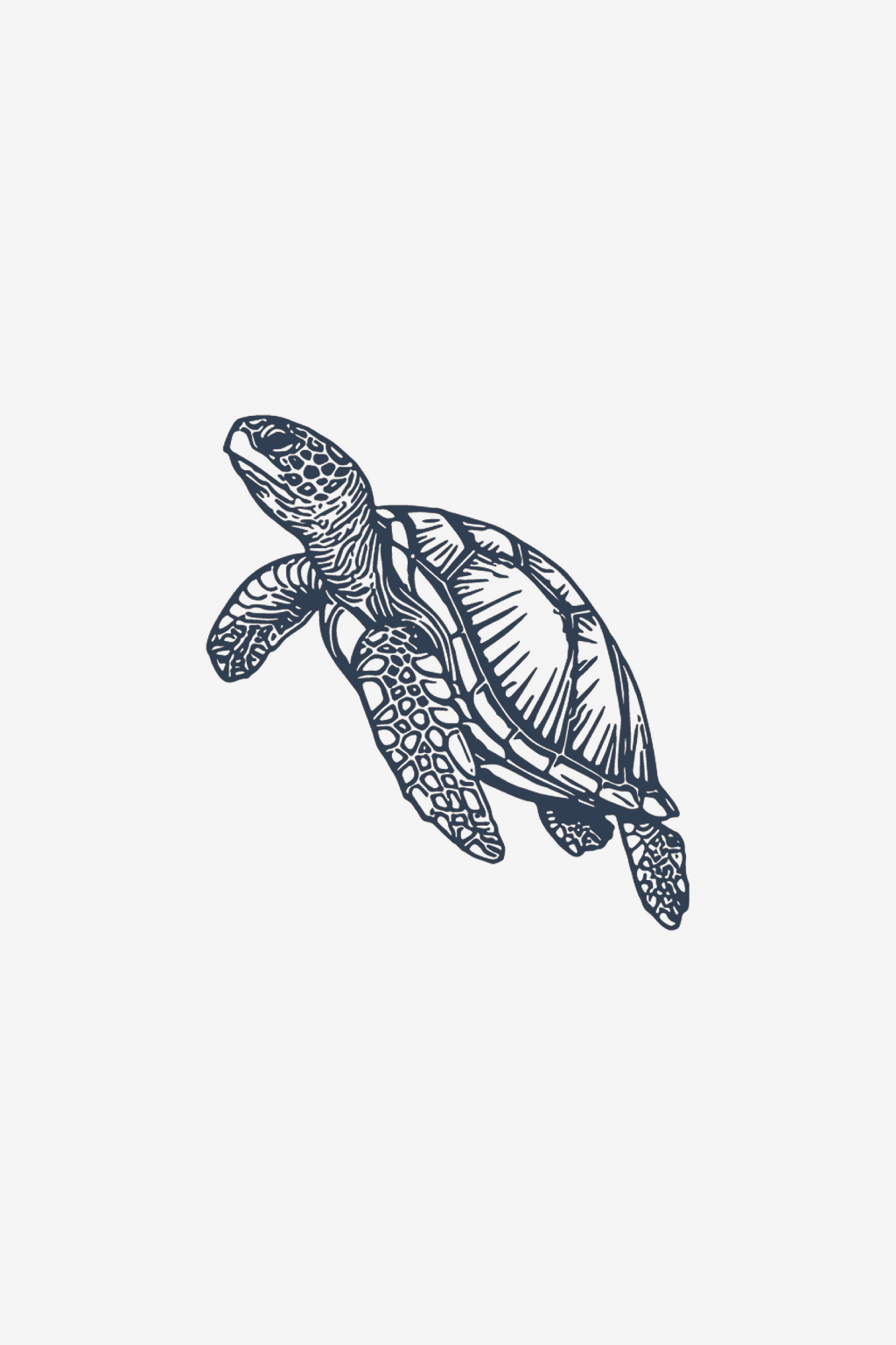 Die Schildkröte