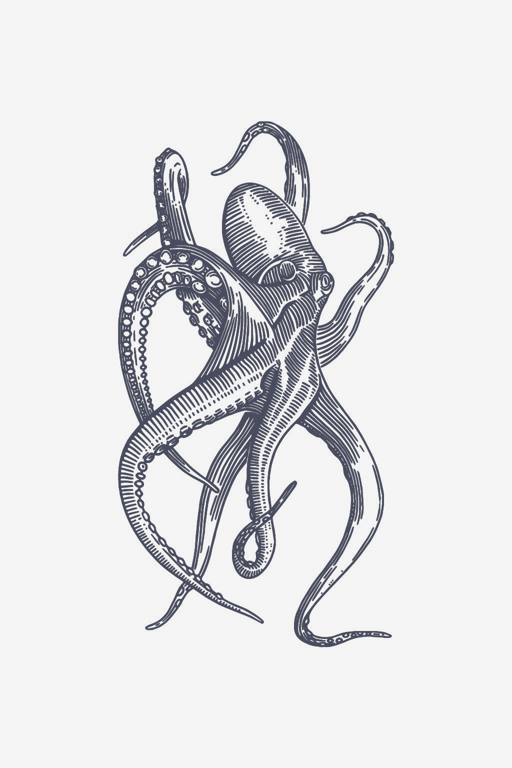 Marine-Umarmung