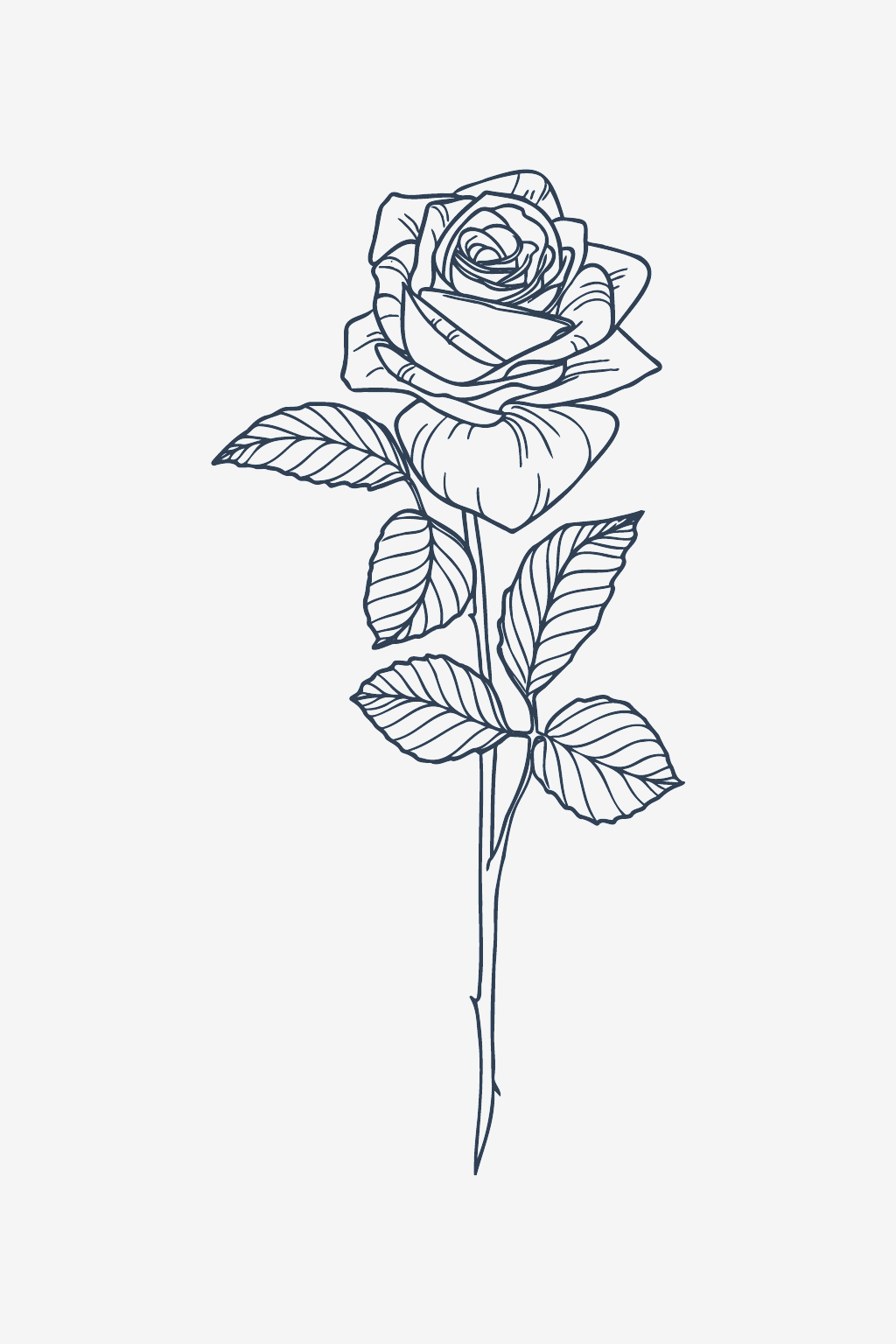 Klassische Rose