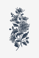 Herbstblumen