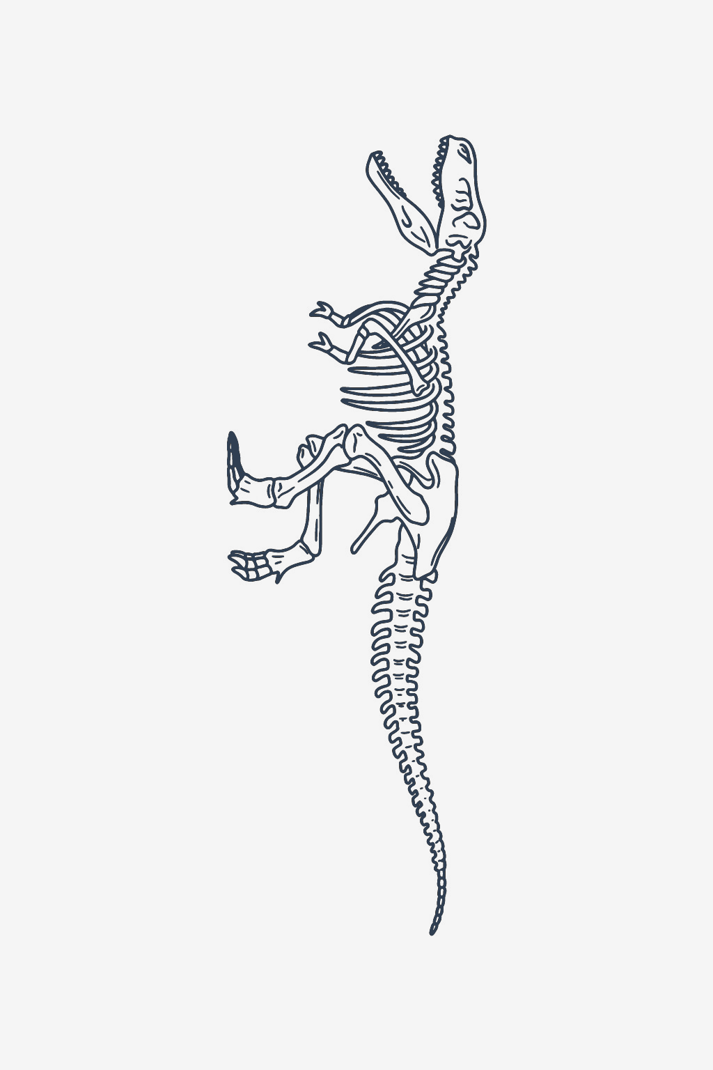 T-Rex-Skelett