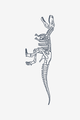 T-Rex-Skelett
