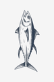 Wilder Thunfisch