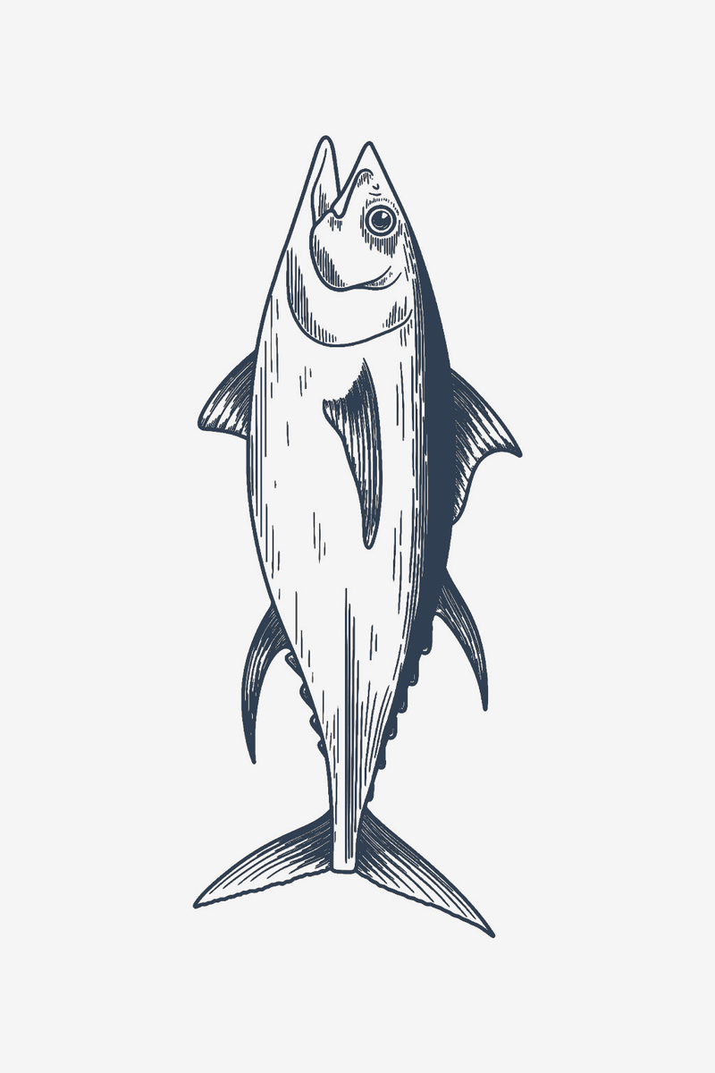 Wilder Thunfisch