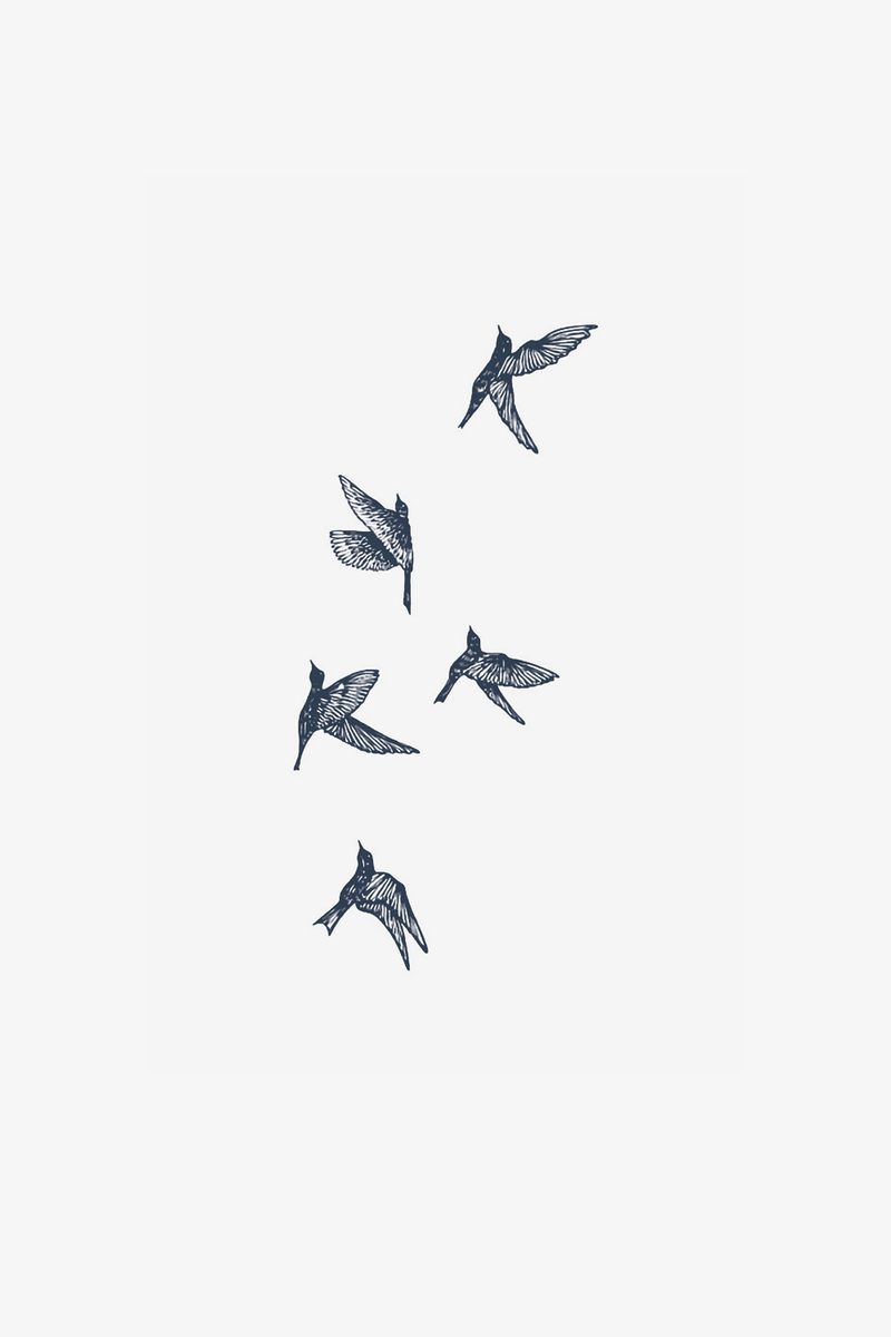 Vögel