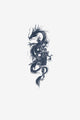 Der Drache der Wolken