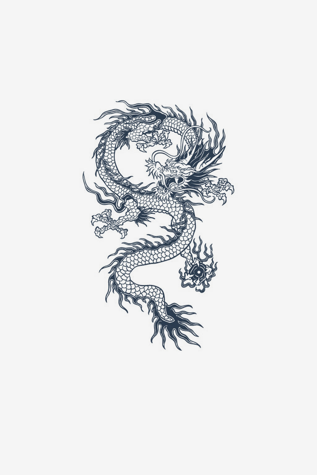 Drache 3