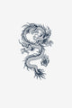 Drache 3