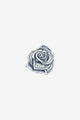Blume des Erfolgs