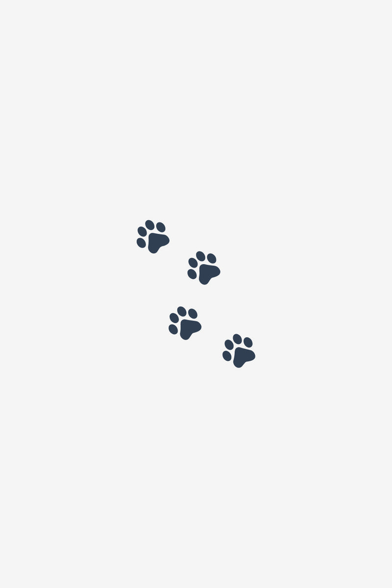 SPUREN