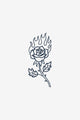 Brennende Rose