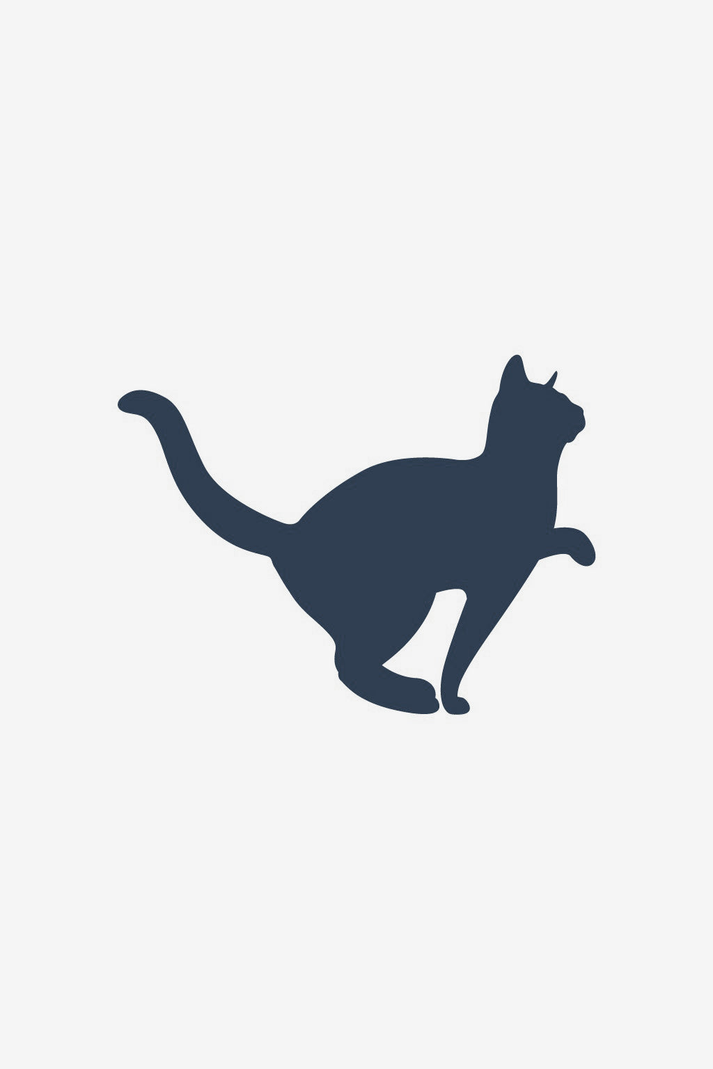Katze 2