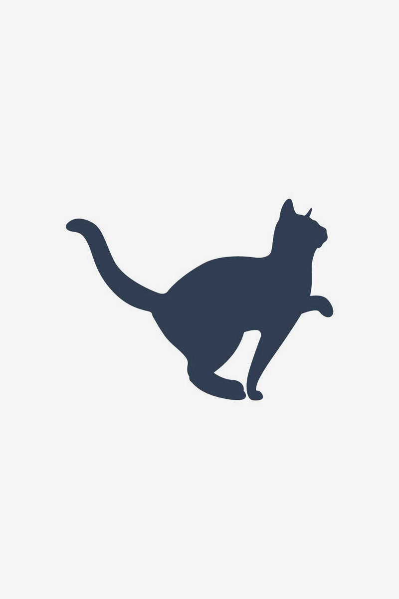 Katze 2