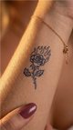 Brennende Rose