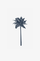 Tropische Palme
